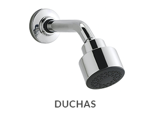 Duchas